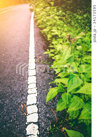 Asphalt texture road with old marking line. 34173595