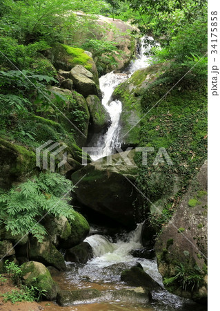 瑞浪竜吟の滝 34175858