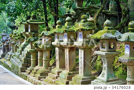 春日大社参道の石灯篭 34176028