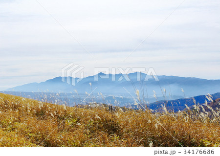 麗しき高原　その４２　：　信州の紅葉　その７３ 34176686