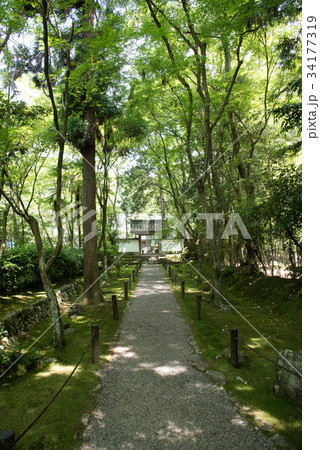 竹の寺 地蔵院 34177319