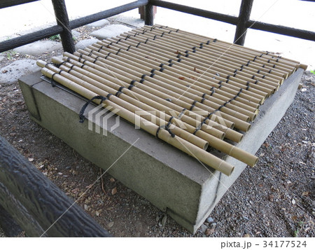 小石川植物園に残る旧小石川養生所の井戸 34177524