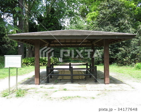 小石川植物園に残る旧小石川養生所の井戸 小石川植物園に残る旧小石川養生所の井戸 34177648