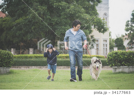 father and son walking with a siberian husky dog 34177663