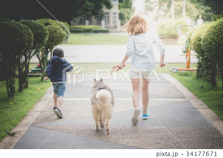 mother and son walking with a siberian husky dog 34177671