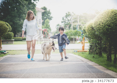 mother and son walking with a siberian husky dog 34177673