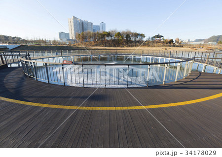 世宗市 世宗湖公園 遊歩道 34178029