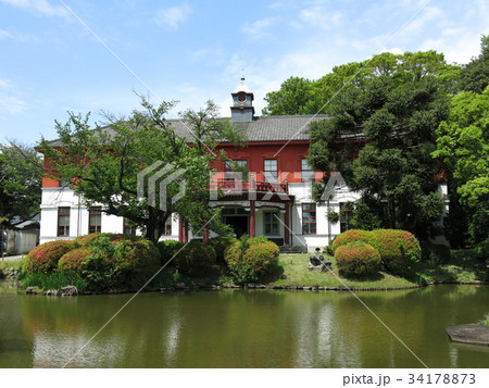 小石川植物園の日本庭園から見た旧東京医学校本館（東京大学総合研究博物館小石川分館） 34178873