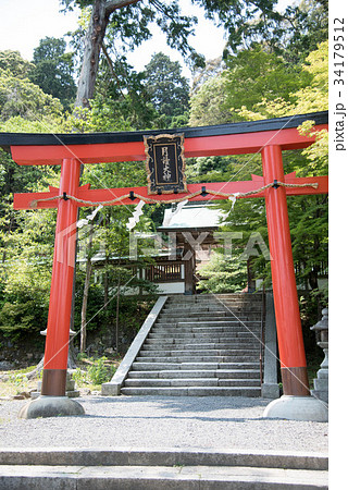 京都　松尾大社 34179512