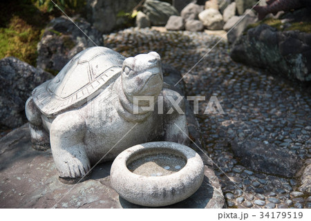 京都　松尾大社　亀 34179519