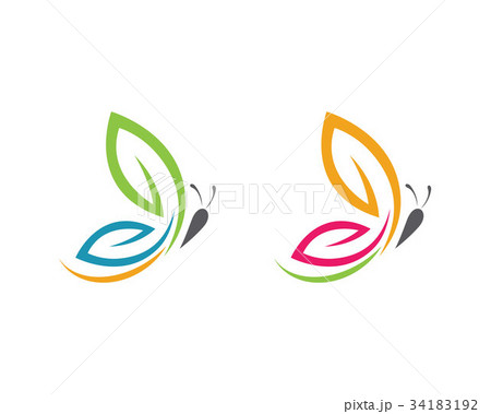 Beauty Butterfly Logo Template 34183192
