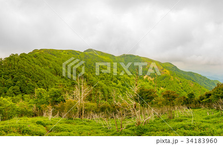 三嶺の稜線(徳島県三好市東祖谷菅生) ※作品コメント欄に撮影位置情報有り 三嶺の稜線(徳島県三好市東祖谷菅生) ※作品コメント欄に撮影位置情報有り 34183960