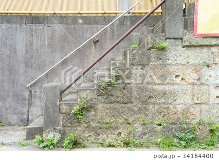 シダの茂る古い階段の写真素材