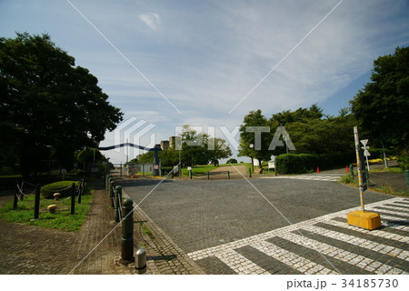 横浜 根岸森林公園 34185730