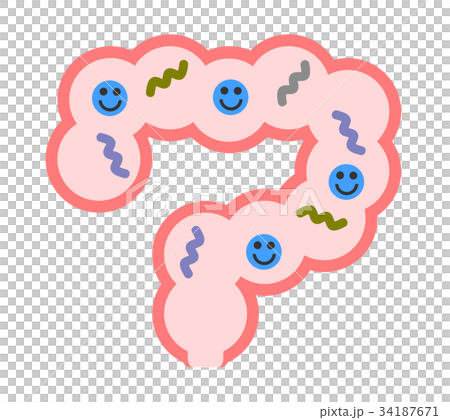 小腸 微生物 病毒-圖庫插圖 [34187671] - pixta