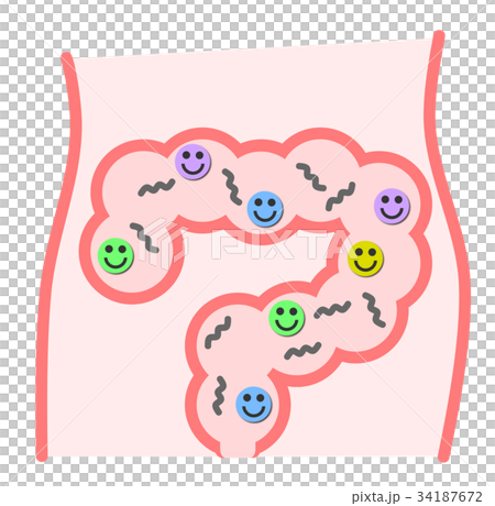 在腸道 在腸道 34187672