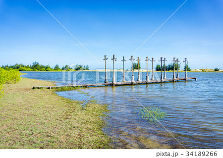 The light and wood pier posts in pond 34189266