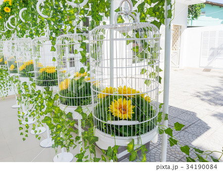 The Bird Cages Decoration The Bird Cages Decoration 34190084