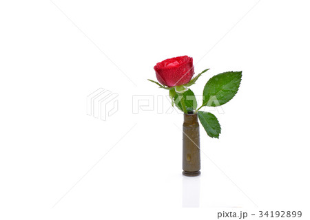 Red rose in riffle bullet symbolizing flower power 34192899