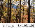 秋の日光 秋の日光 34193189