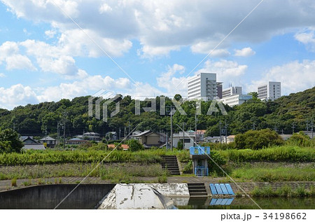 春日井市　内津川 34198662