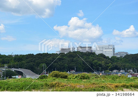 春日井市　中部大学 34198664