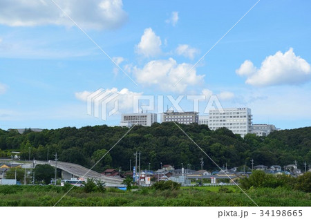 春日井市　中部大学 34198665