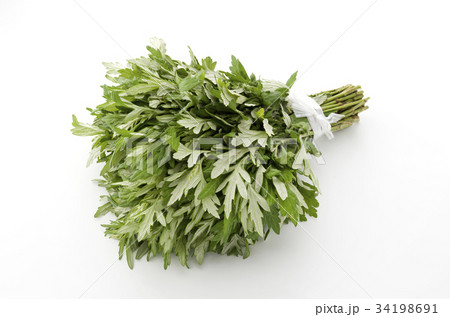 ヨモギ ヨモギ 34198691