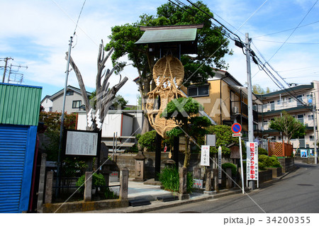 横浜市戸塚区　南谷戸の大わらじ 34200355