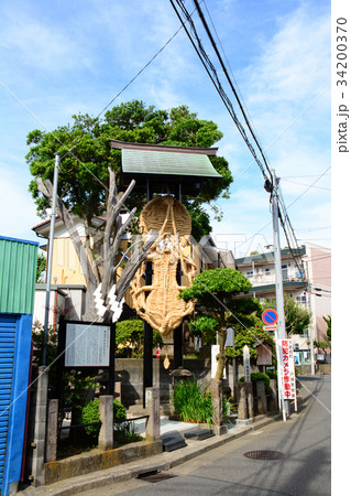 横浜市戸塚区 南谷戸の大わらじ 横浜市戸塚区 南谷戸の大わらじ 34200370