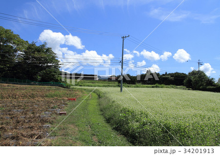 長野県史跡　埴原牧跡(古屋敷繋飼場跡) 34201913