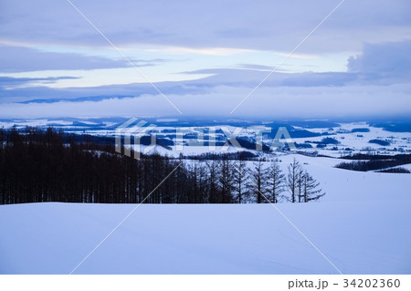 富良野・冬 34202360