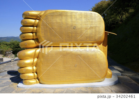 米ライオン 仏 ワブル 34202461