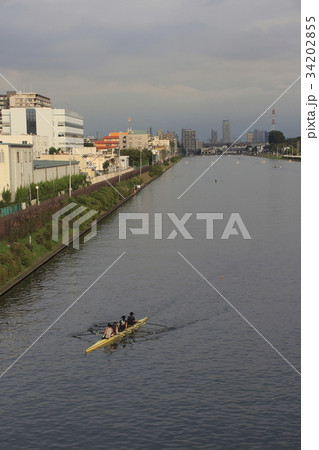 戸田公園漕艇場（埼玉県戸田市） 34202855