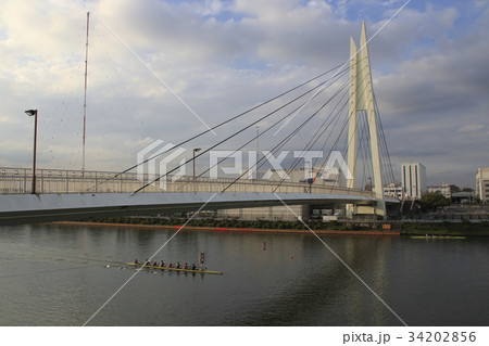 戸田公園漕艇場：戸田公園大橋（埼玉県戸田市） 34202856
