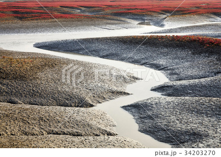 干潟 曲線 永宗島 34203270