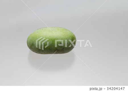 ポポー ポポー 34204147