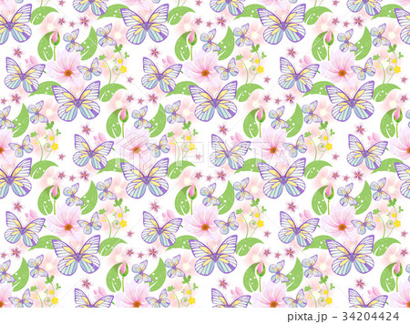 floral pattern seamless 34204424