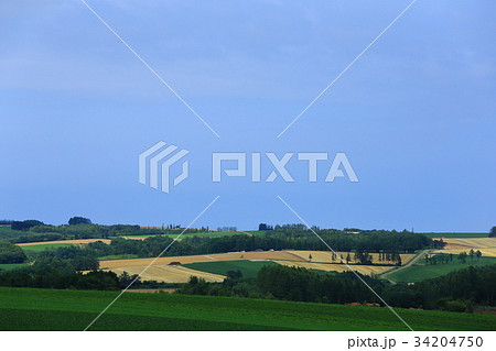 北海道大空町 朝日ヶ丘公園の風景 北海道大空町 朝日ヶ丘公園の風景 34204750