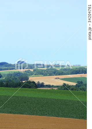 北海道大空町 朝日ヶ丘公園の風景 北海道大空町 朝日ヶ丘公園の風景 34204761