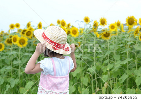 夏 女の子 ひまわり 帽子 麦わら帽子の写真素材