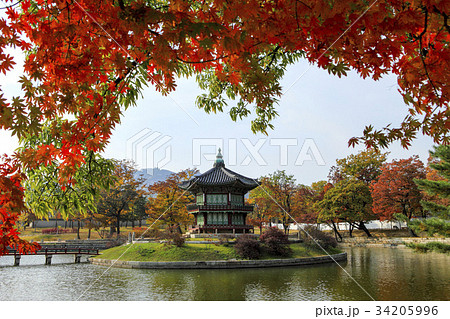 景福宮 紅葉 ソウル 34205996