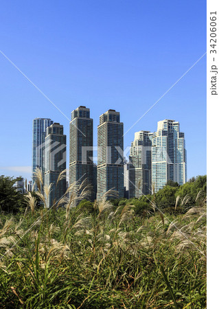 ソウル 良才川 タワーパレス 34206061