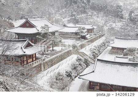 席従事 雪景色 忠清北道 34206129