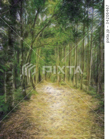 Crayon Drawing; Trail at the World Heritage Forest 34206467