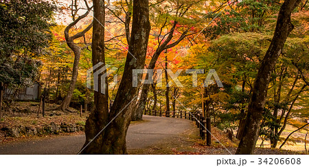 The Trail at the Yoro Waterfall in Gifu, Japan The Trail at the Yoro Waterfall in Gifu, Japan 34206608
