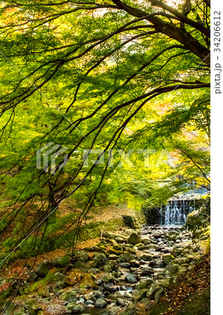 The Creek at the Yoro Waterfall in Gifu, Japan 34206612