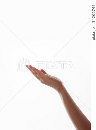 ヌキ 切り抜き 示す 34206742