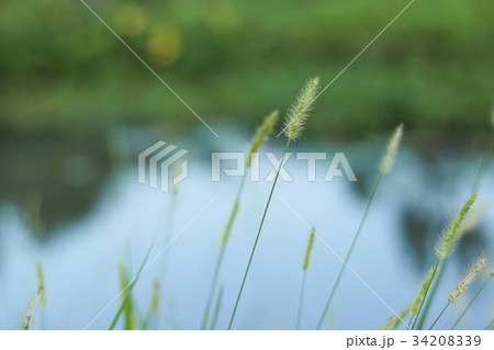 農耕 農業 背景 34208339