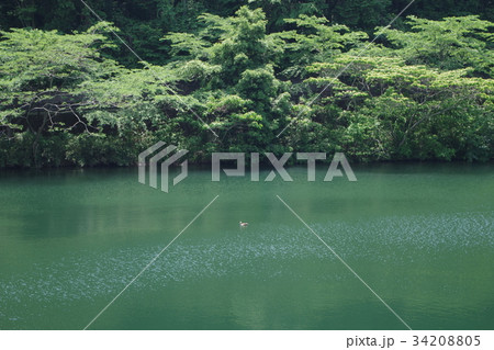 雀川砂防ダム湖 34208805